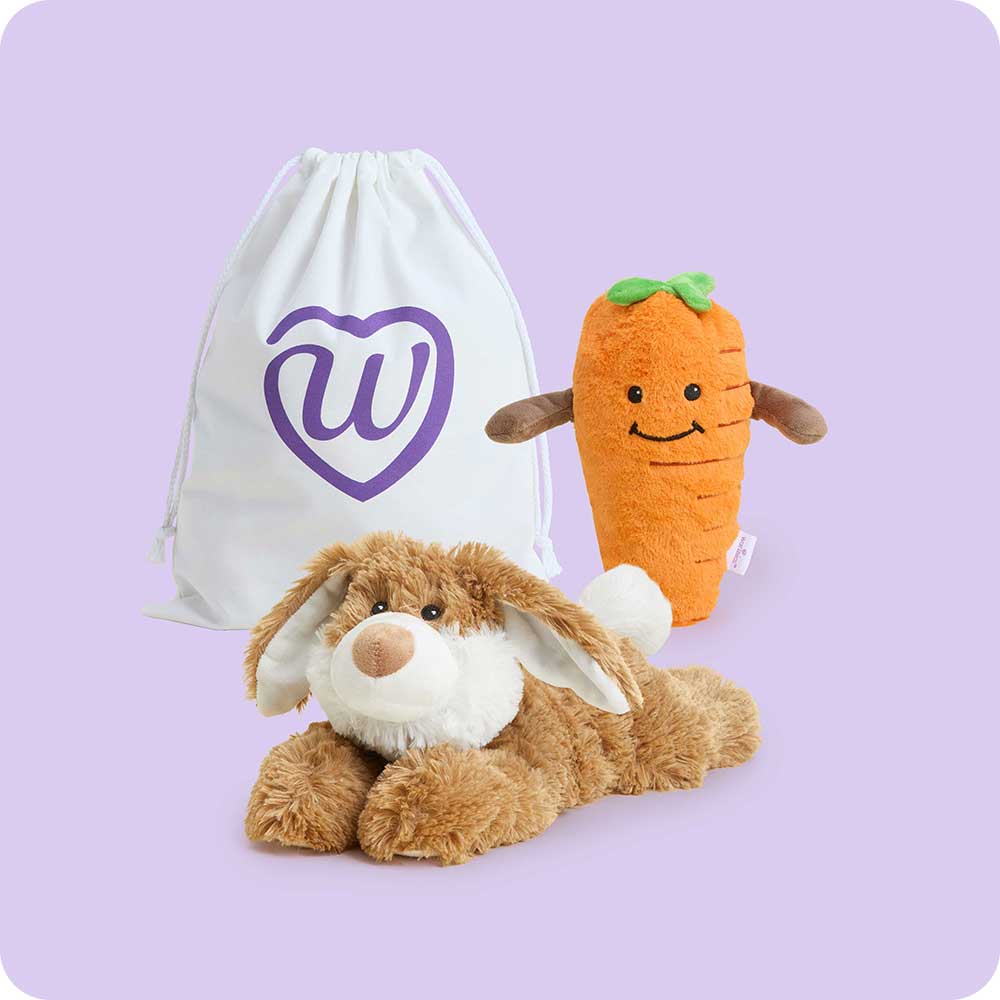 Carrot & Brown Bunny Warmies Bundle