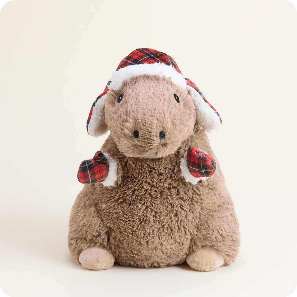 Microwavable Cozy Capybara Warmies - Warmies USA